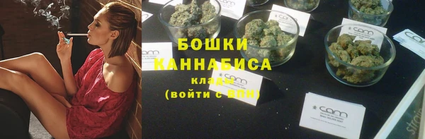 тгк Богданович