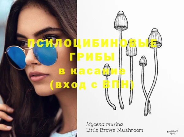 шишки Богородицк