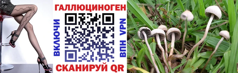 Галлюциногенные грибы Magic Shrooms Мураши
